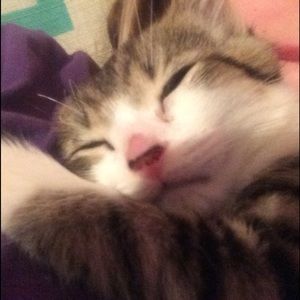 Meet your Posher, Danika